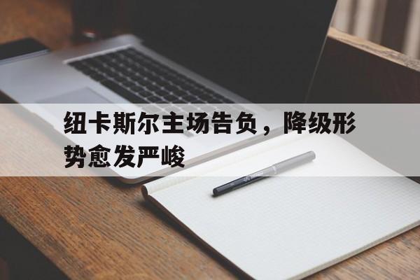 IM电竞app网址-纽卡斯尔主场告负，降级形势愈发严峻