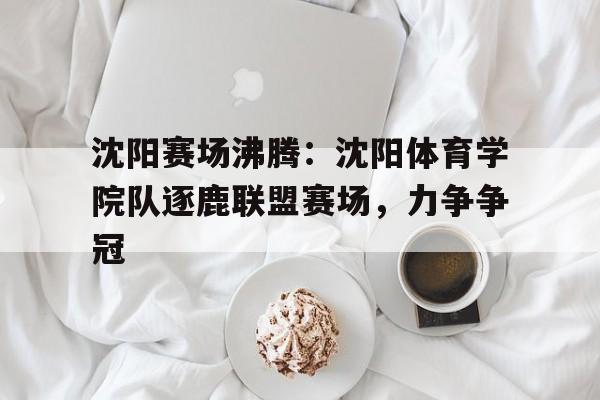 IM电竞app网址-沈阳赛场沸腾：沈阳体育学院队逐鹿联盟赛场，力争争冠